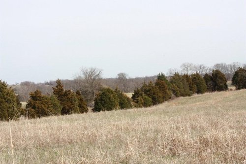 Property photo 5 - ABSOLUTE AUCTION - 298 Acres Offered in 4 Tracts